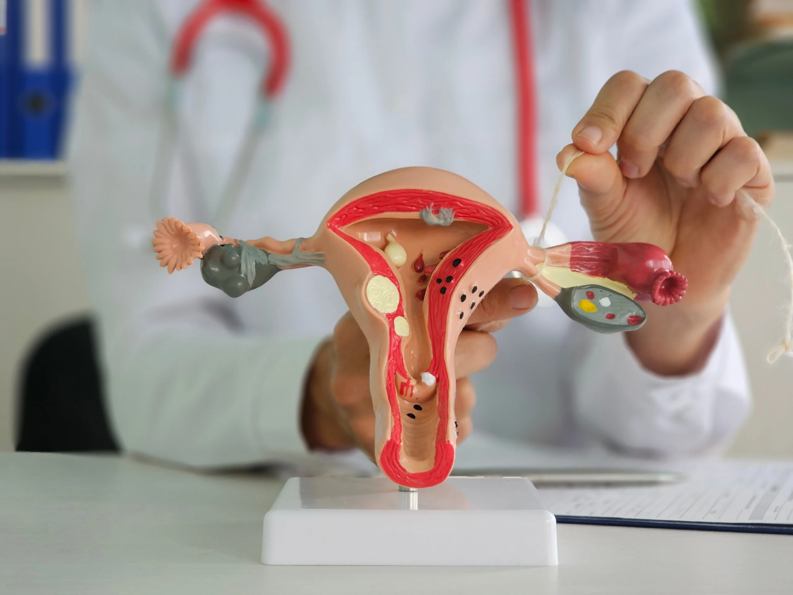 How Long Does It Take to Get Pregnant Through IVF